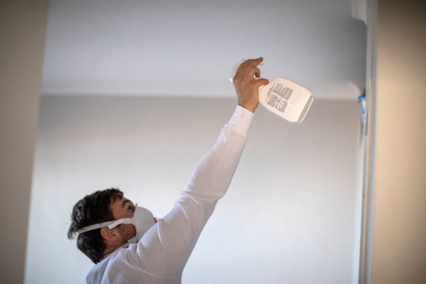 Best Crawl Space Mold Removal  in Shingle Springs, CA