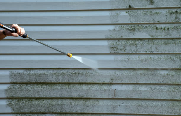 Best Mold Remediation Services  in Shingle Springs, CA